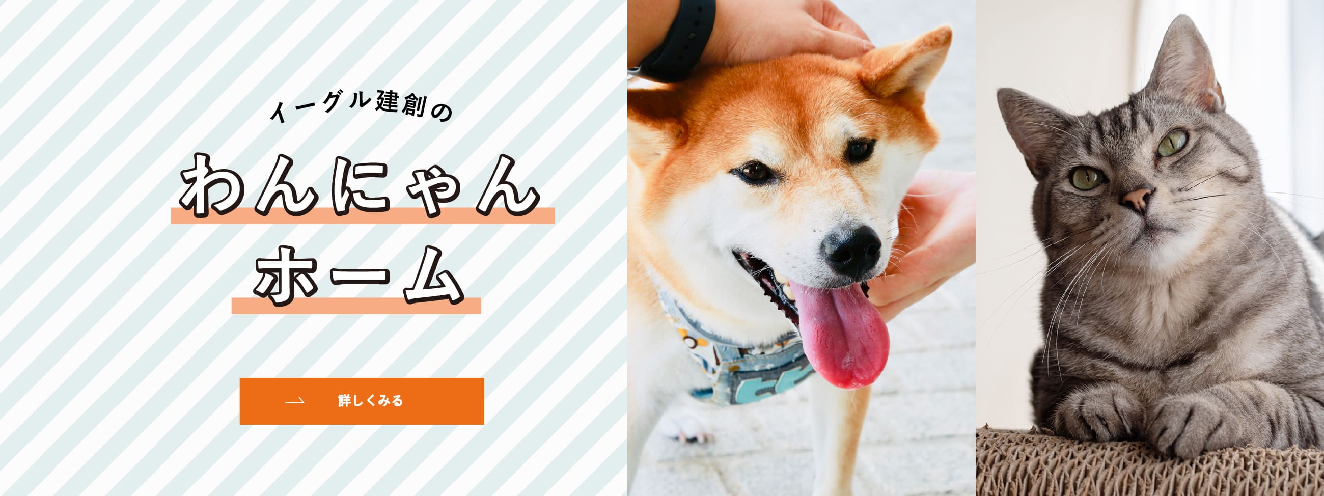 わんにゃんホーム