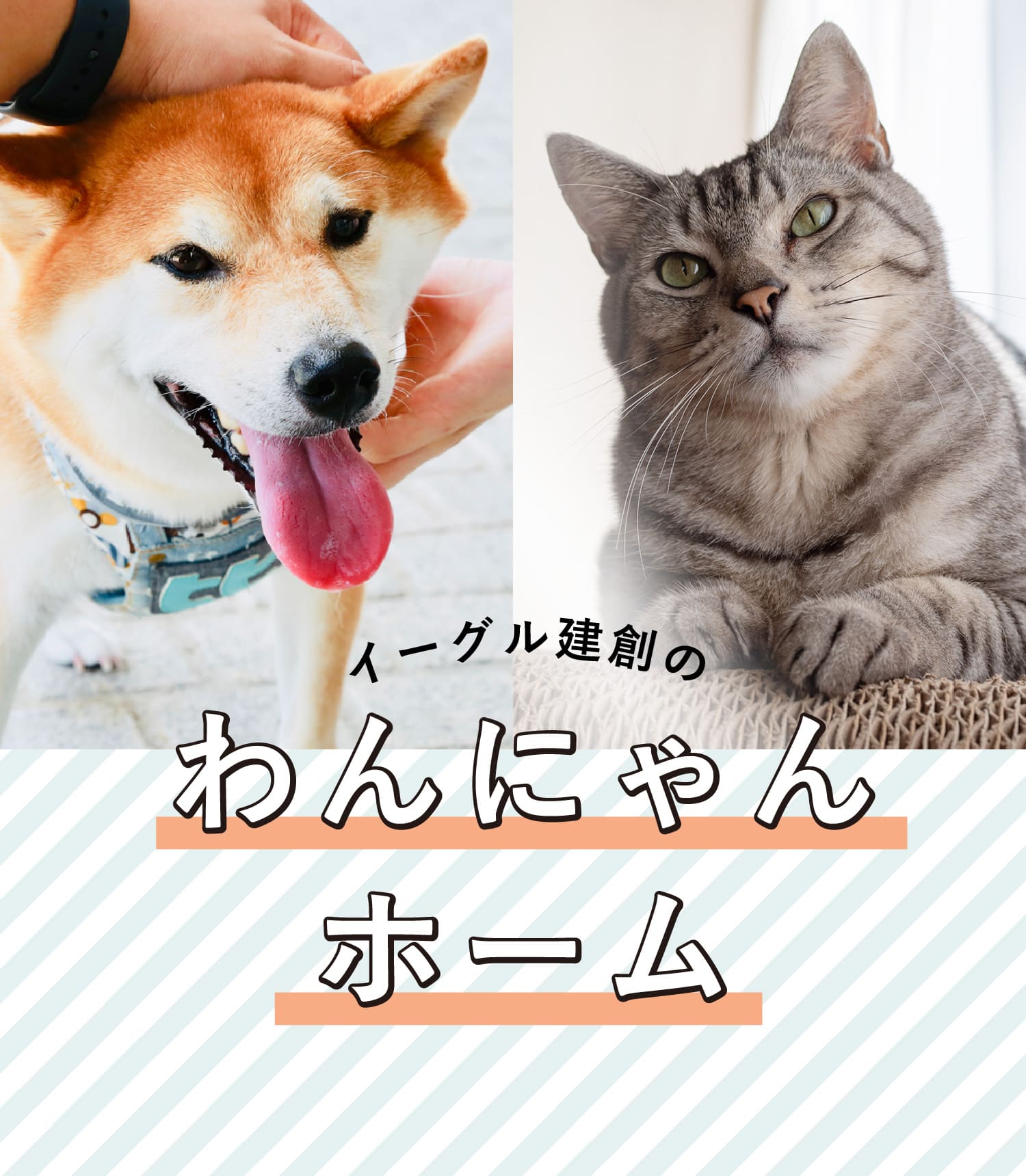 わんにゃんホーム